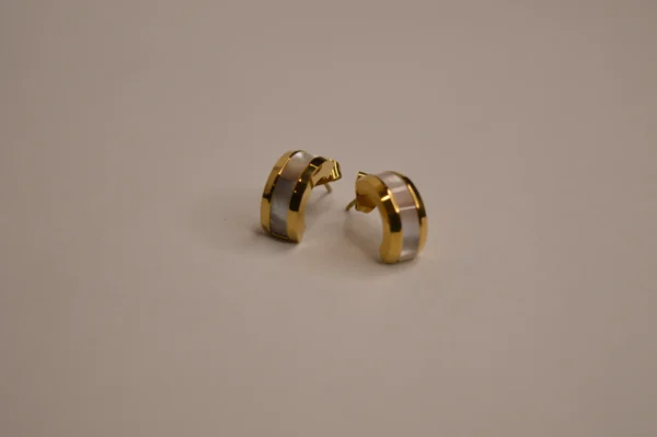 Bold Hoops earrings 1